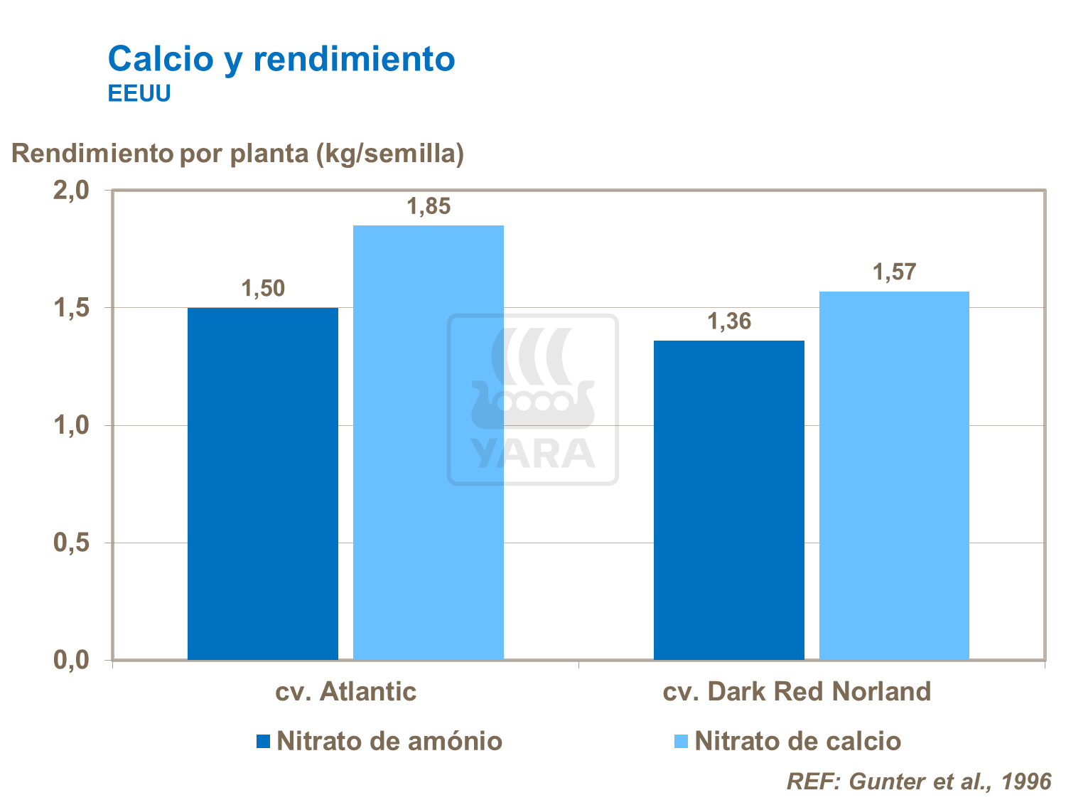 Calcio y rendimiento