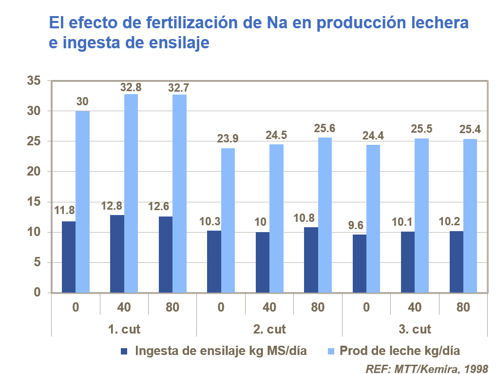 El efecto de fertilización de Na en producción lechera e ingesta de ensilaje