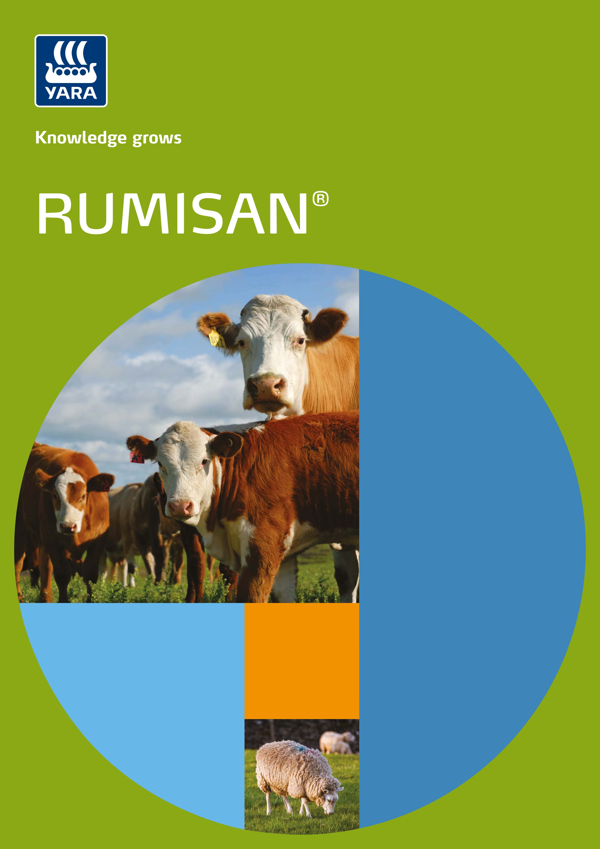 Folleto Rumisan