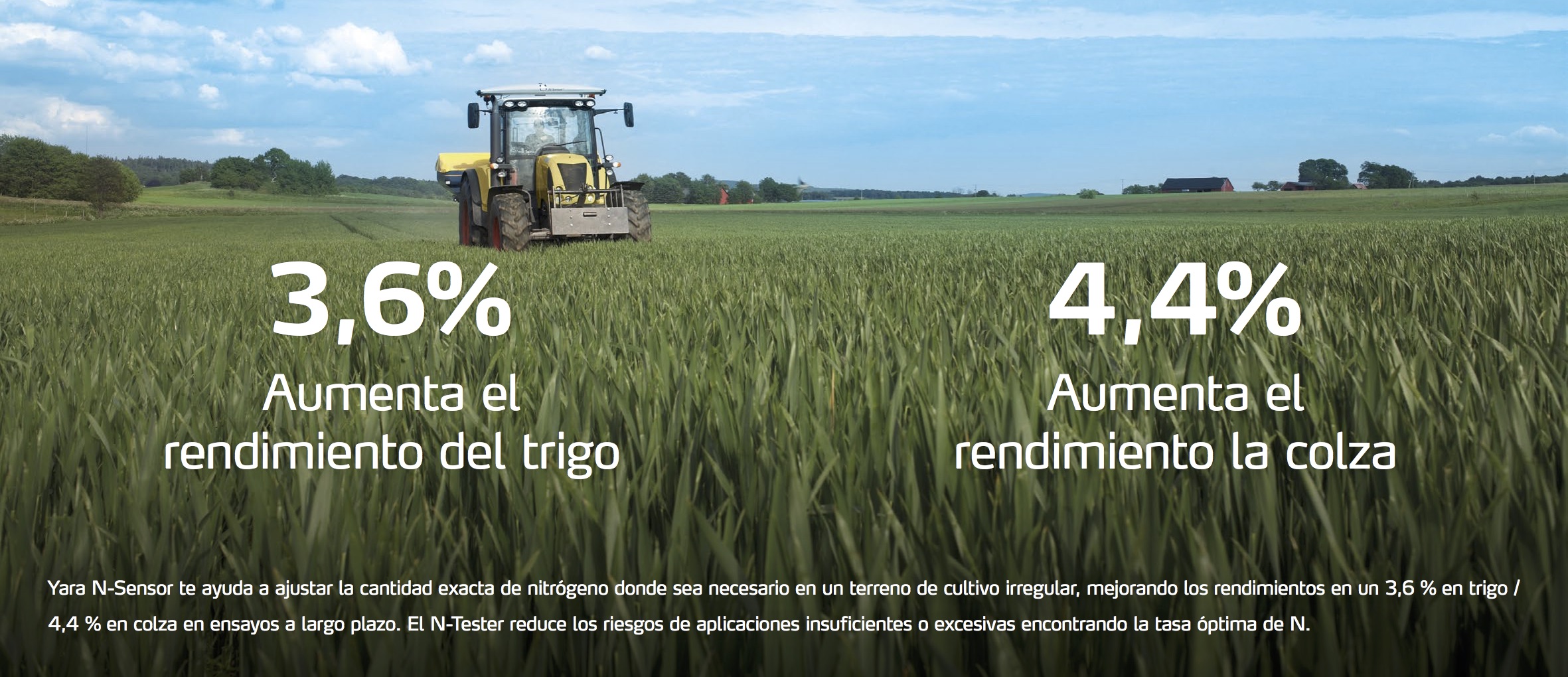 mejora del rendimiento del trigo y de la colza