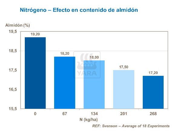 Efecto en contenido de almidón
