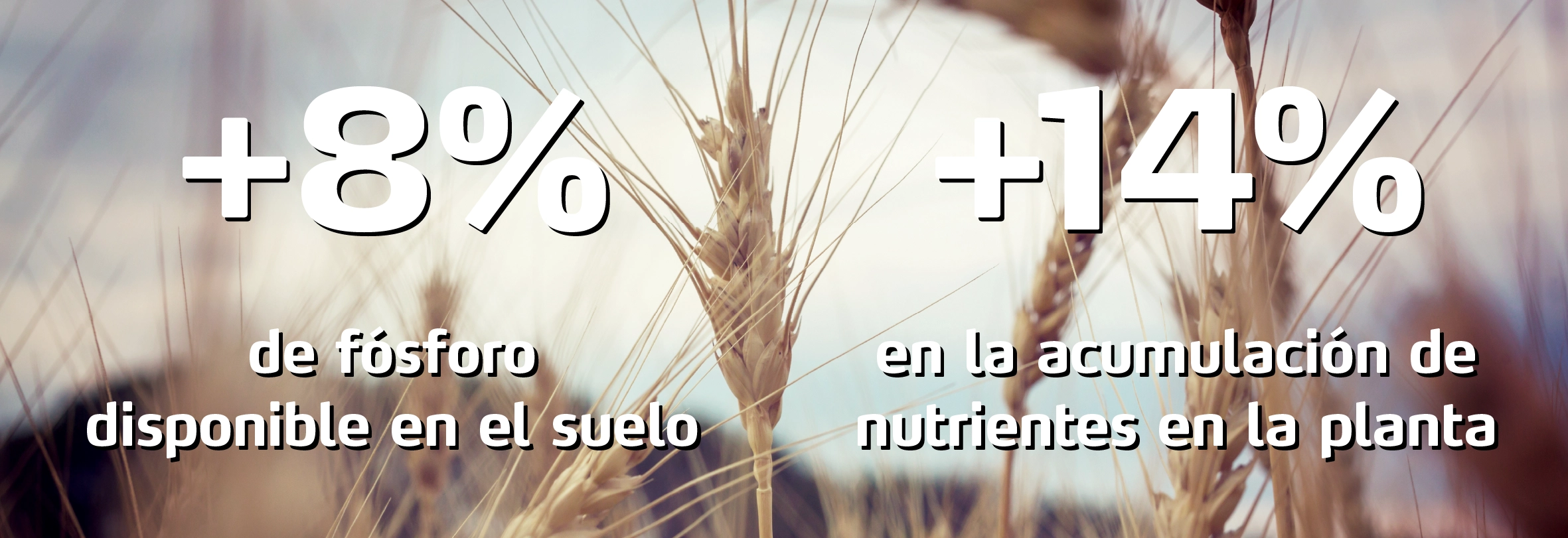 YaraMila NUTRI