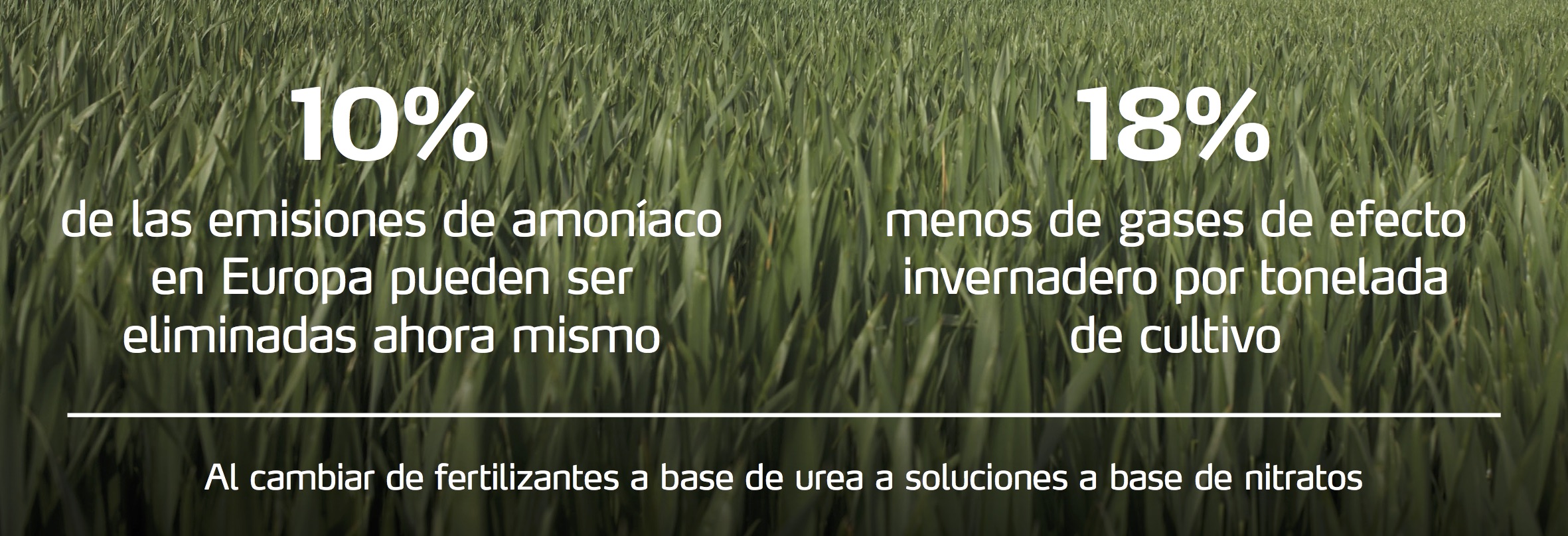 Fertilizantes a base de nitratos en comparación con la urea