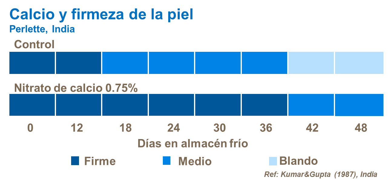abonos, yara, abono, uva