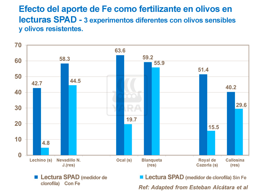 abonos, yara, abono, uva