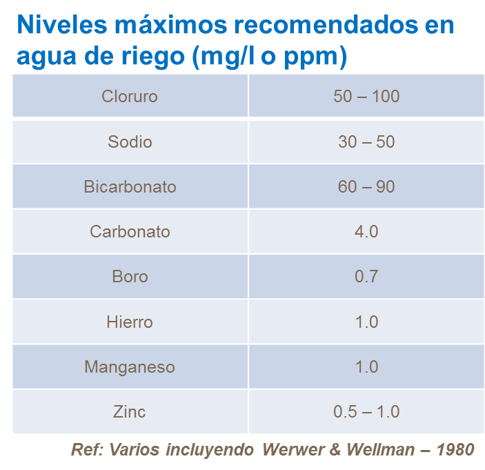 abonos, yara, abono, uva