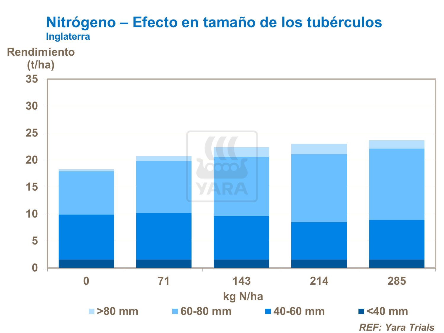 Nitrógeno – Efecto en tamaño de los tubérculos