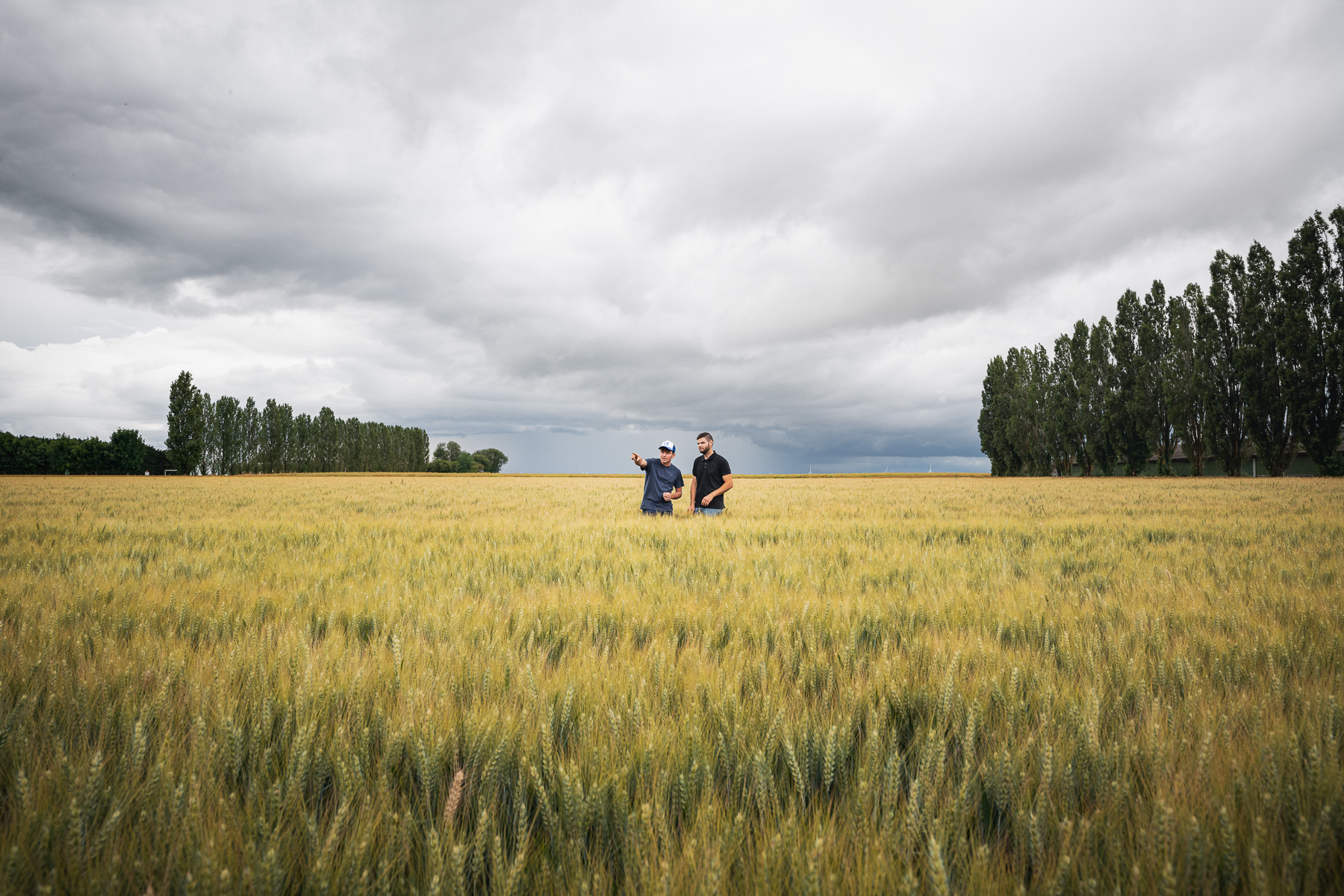 Chica en el campo de trigo